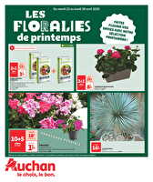 Floralies des magasins Auchan Valable du 22 au 28 avril 2025