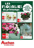 Floralie de printemps des magasins Auchan Valable du 22 au 28 avril 2025