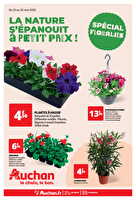Floralies est chez Auchan Valable du 13 au 25 mai 2025