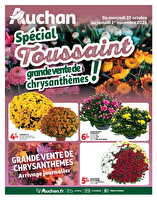 Special toussaint des magasins Auchan Valable du 22 octobre au 01 novembre 2025