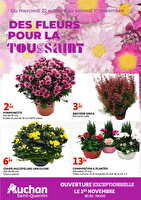 Des fleurs pour la toussaint chez Auchan Valable du 22 au 31 octobre 2025