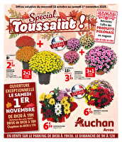 Spécial  toussaint arras chez Auchan Valable du 15 octobre au 01 novembre 2025