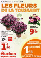 Fleurs de la toussaint des magasins Auchan Valable du 21 octobre au 01 novembre 2025