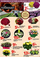 La toussaint chez Auchan Valable du 22 octobre au 01 novembre 2025