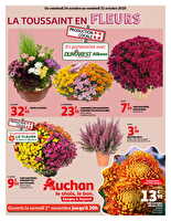 Tract chrysanthèmes  des magasins Auchan Valable du 24 au 31 octobre 2025