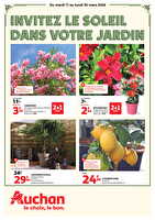 Invitez le soleil dans votre jardin chez Auchan Valable du 17 au 30 mars 2026