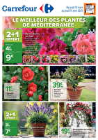 Le meilleur des plantes de méditerranée chez Carrefour Valable du 13 mars au 17 avril 2025