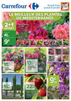 Le meilleur des plantes de méditerranée chez Carrefour Valable du 11 mars au 15 avril 2025