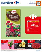 Bon plan n°16 des magasins Carrefour Valable du 15 au 28 avril 2025