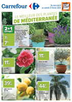 Le meilleur des plantes méditerranéennes des magasins Carrefour Valable du 04 au 21 février 2026