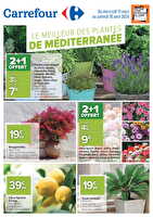 Le meilleur des plantes de méditerranée chez Carrefour Valable du 11 mars au 18 avril 2026