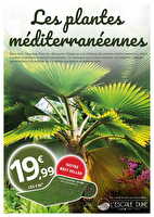 Plantes méditerranéennes chez Leclerc Valable du 08 avril au 04 mai 2025