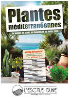 Plantes mediterranenne des magasins Leclerc Valable du 31 mars 2026 au 11 avril 2028