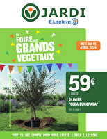 Trafic jardi printemps 3 - grands vegetaux des magasins Leclerc Valable du 07 au 18 avril 2026