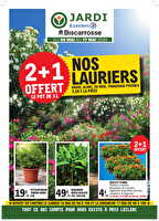 Plantes mediterraneennes des magasins Leclerc Valable du 05 au 17 mai 2026